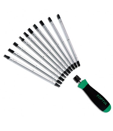 Набор отверток 20 в 1 (PH,PZ,SL,Hex,Torx) GAAI2101 TOPTUL