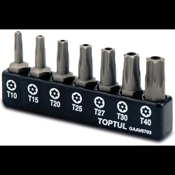 Набор бит 1/4" (TORX T10-T40 с отверстием) GAAV0703 TOPTUL