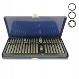 Набор бит 10мм HEX, TORX, SPLINE 40ед. СТАНДАРТ SDBS0040