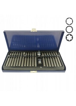 Набор бит 10мм HEX, TORX, SPLINE 40ед. СТАНДАРТ SDBS0040