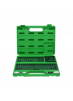 Профессиональный набор бит TORX, HEX, SPLINE, RIBE, SQ 60ед. TOPTUL GCAI6003