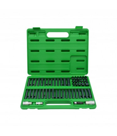 Профессиональный набор бит TORX, HEX, SPLINE, RIBE, SQ 60ед. TOPTUL GCAI6003